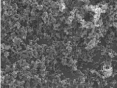 ナノ粒子薬剤の顕微鏡写真