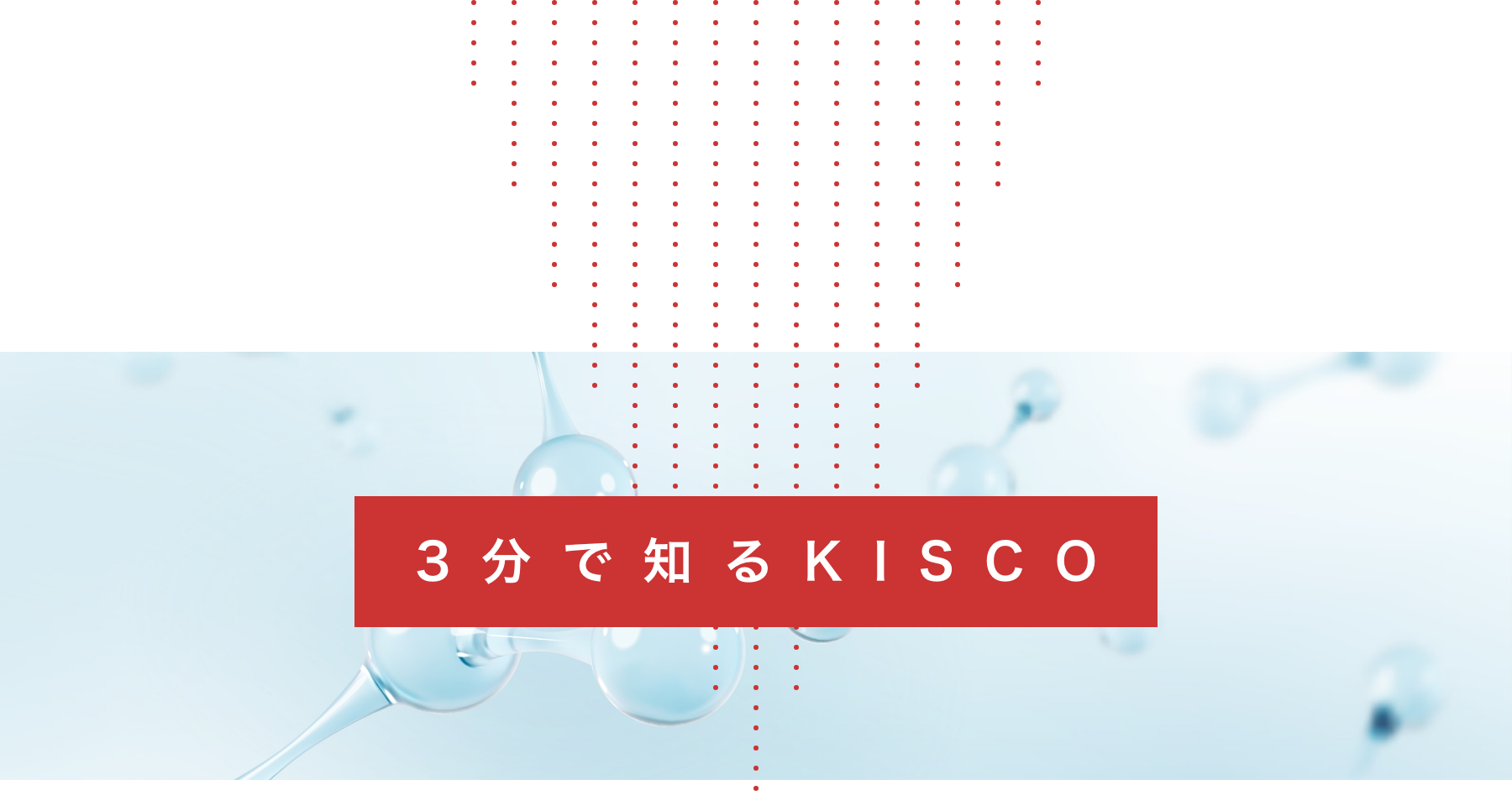 3分で知るKISCO