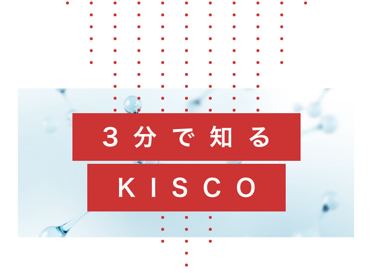 3分で知るKISCO
